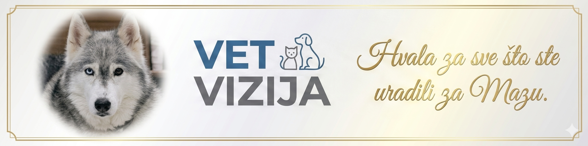 VET VIZIJA